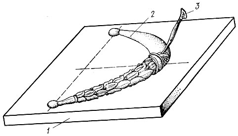 Рис. 67. Модель гирлянды: 1 - гипсовая плита основания, 2 - глиняный валик с общей формой гирлянды, 3 - стека